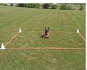 Carré d'Obéissance Fluo