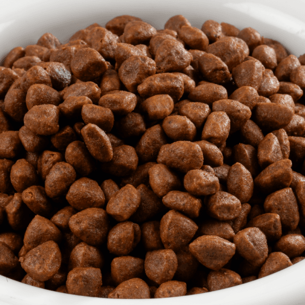 Croquettes pour chiens