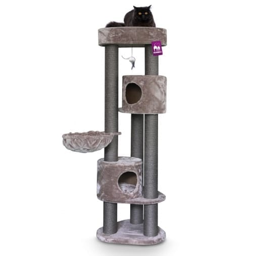 Arbre à chats Charlotte 180 Petrebels