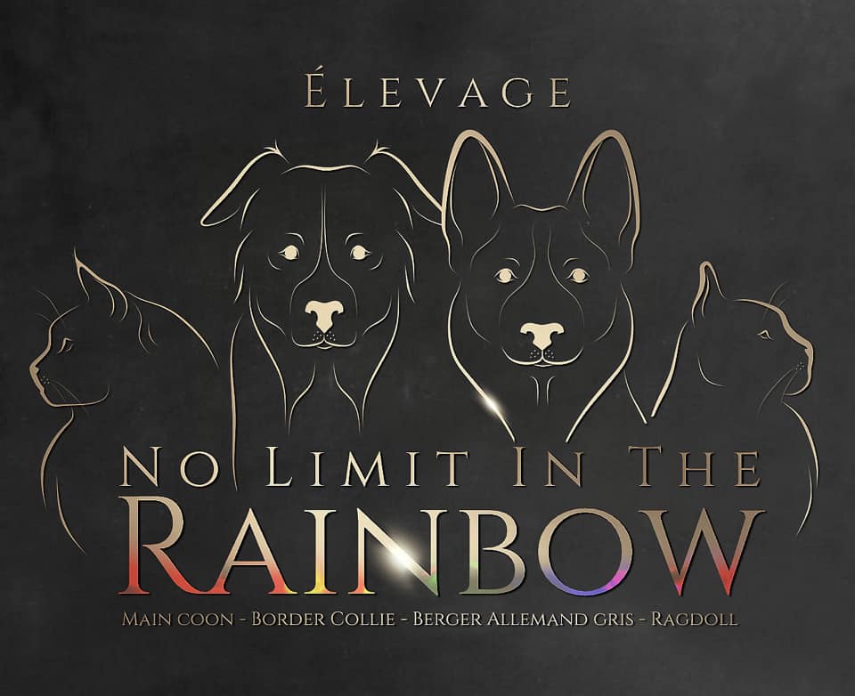 élevage No limit in the rainbow