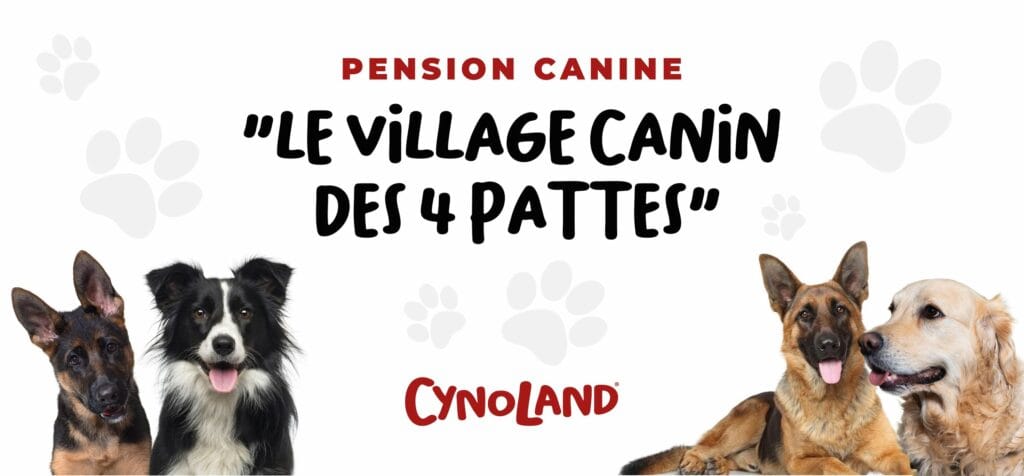 Pension Village canin des 4 pattes