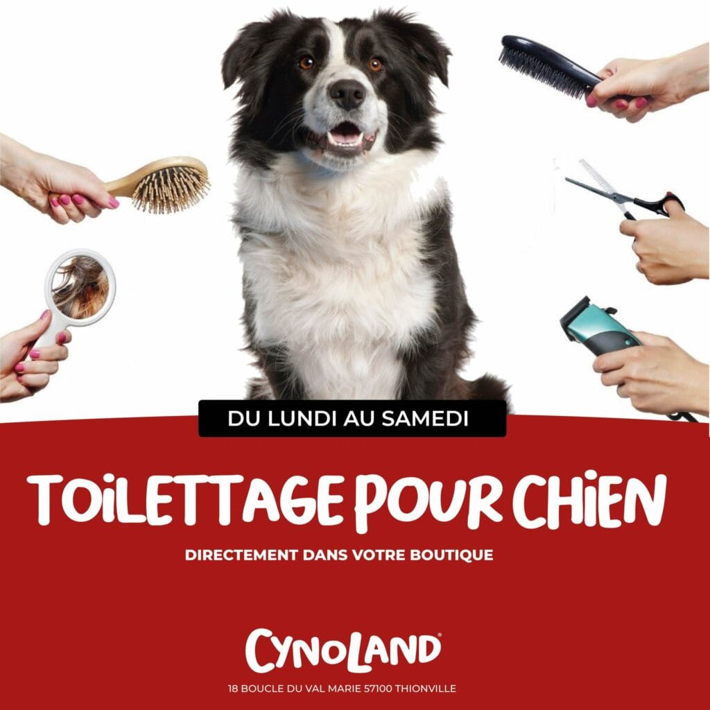 Toilettage chez Cynoland