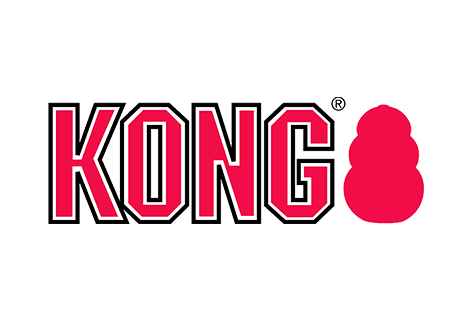 Kong jouets chiens