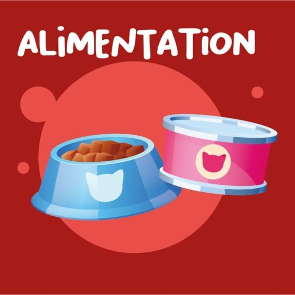Alimentation pour chats