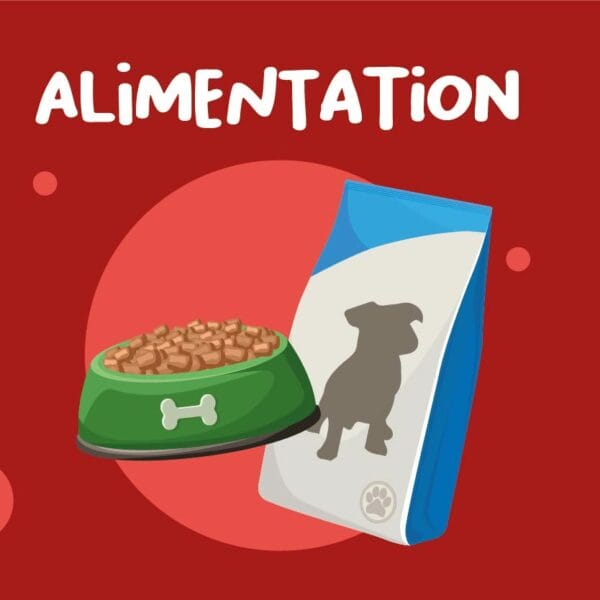 Alimentation pour chien