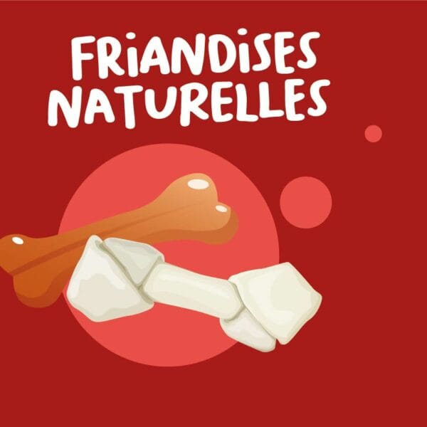 Friandises pour chien