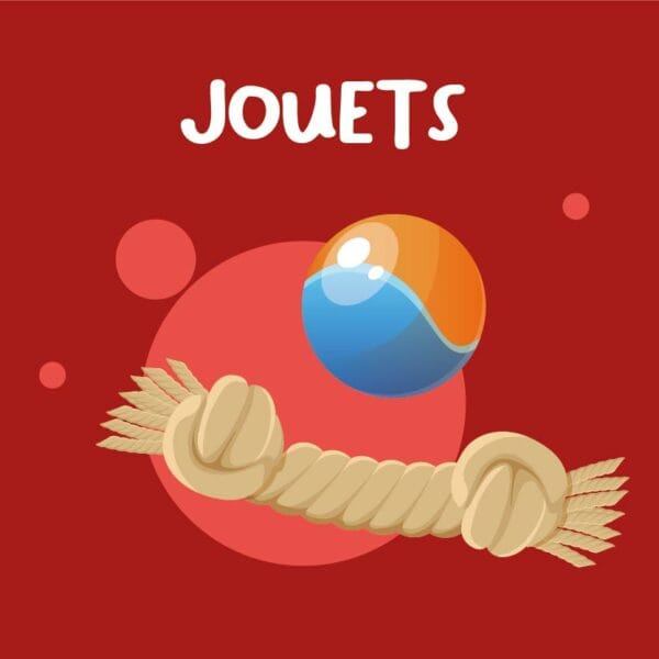 Jouets pour chiens