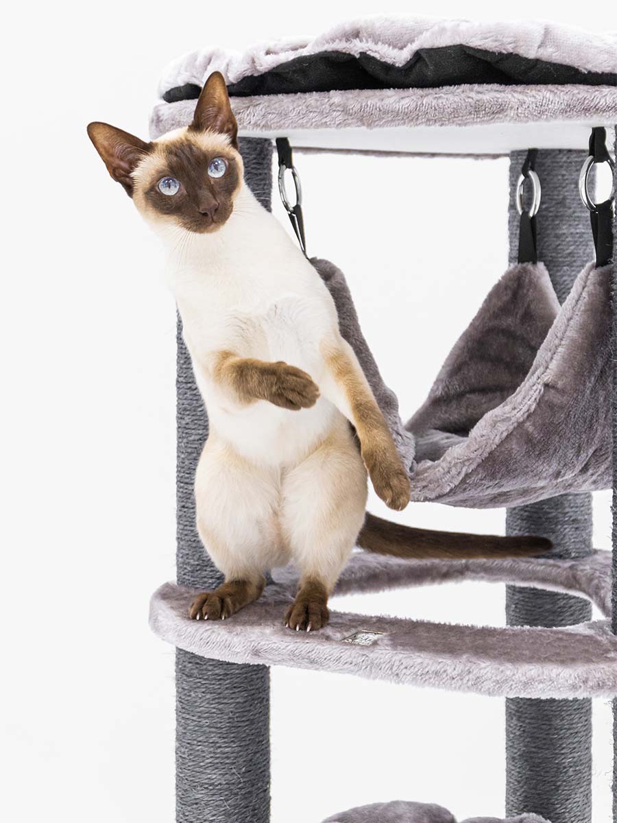 Arbre à chats Catharina 120 Petrebels