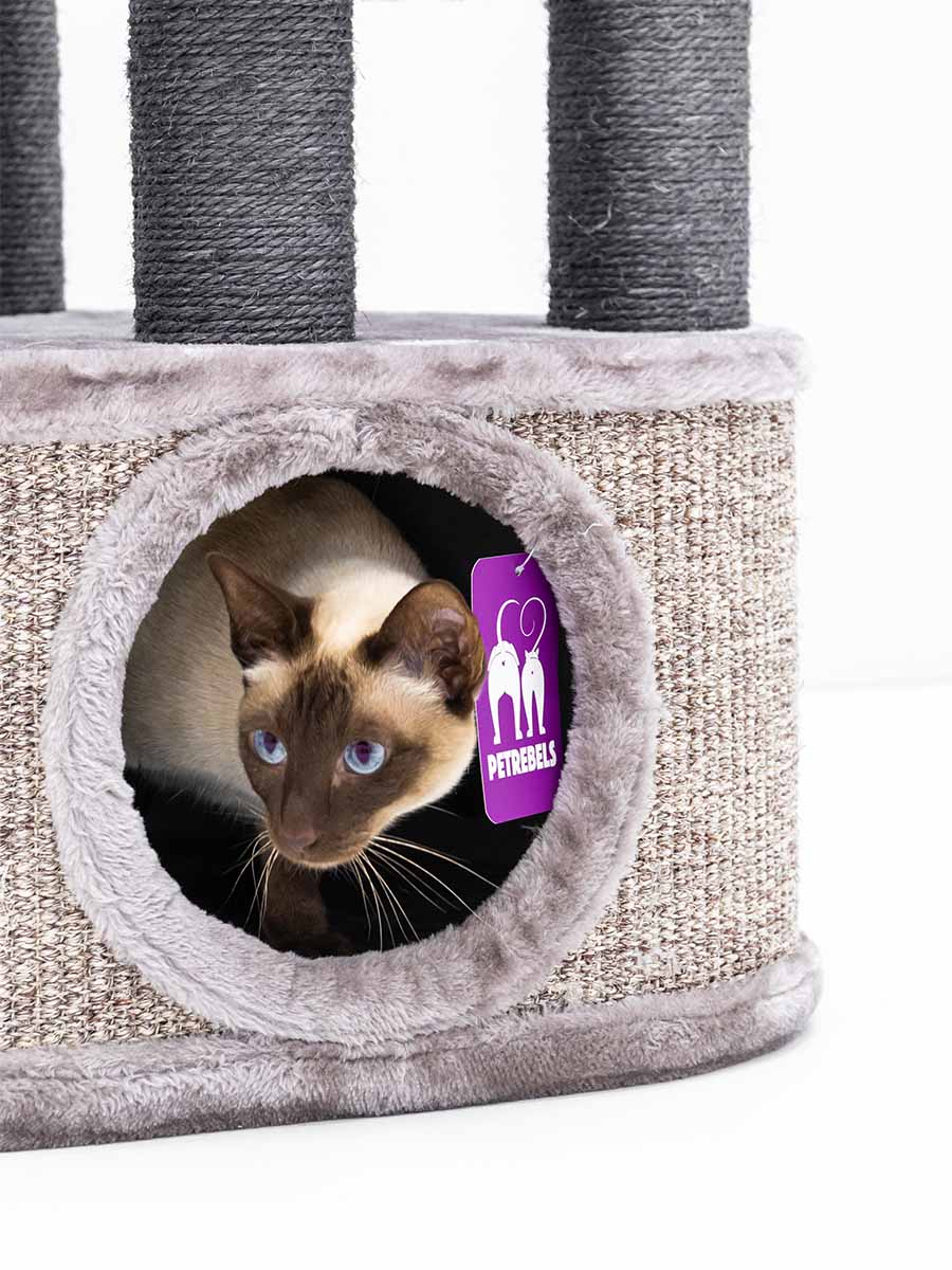 Arbre à chats Catharina 120 Petrebels