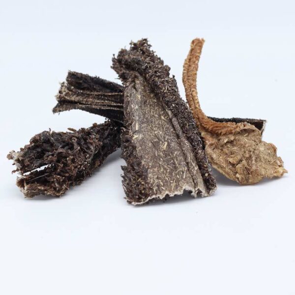 Panse de boeuf séchée pour chiens