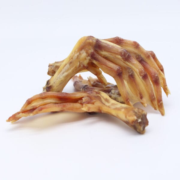 Pattes de canard séchées pour chiens