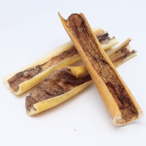 Peau de cheval séchée pour chiens