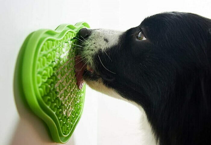 Tapis de léchage pour chien et chat