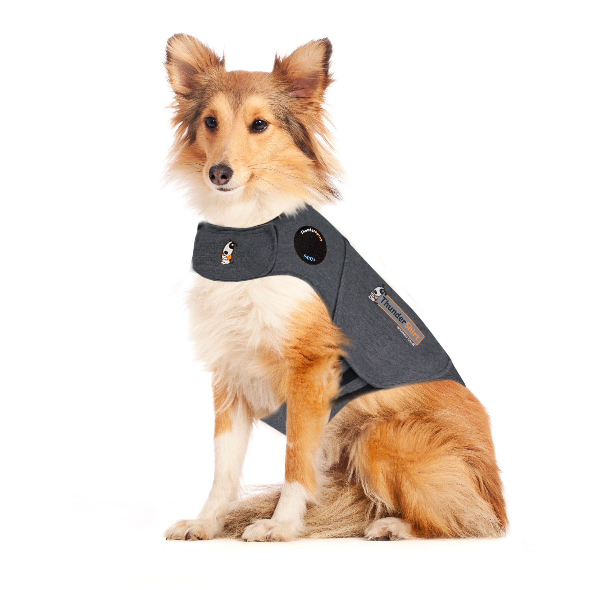 Thundershirt pour chien