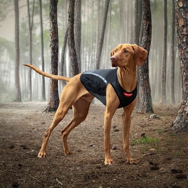 Manteau pour chien imperméable Thermax