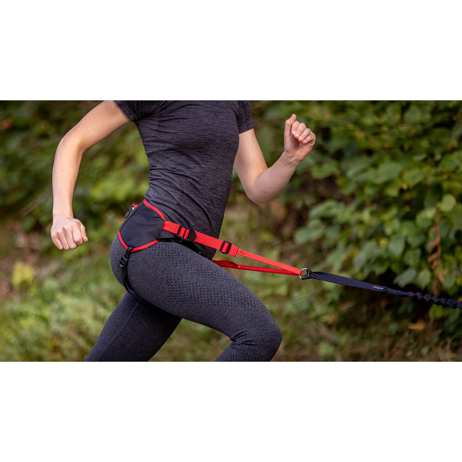 Baudrier de canicross Ludus Performance