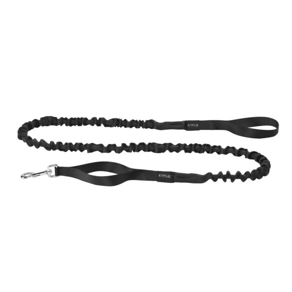 Longe de caniVTT et ski-joëring Ludus de Kyflie