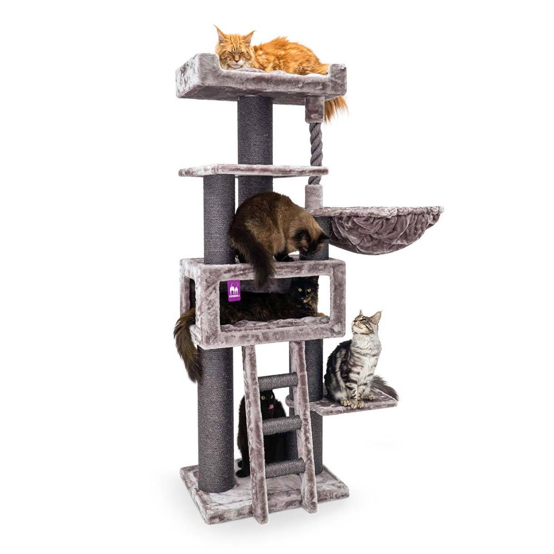 Arbre à chats Parkline 175 Petrebels