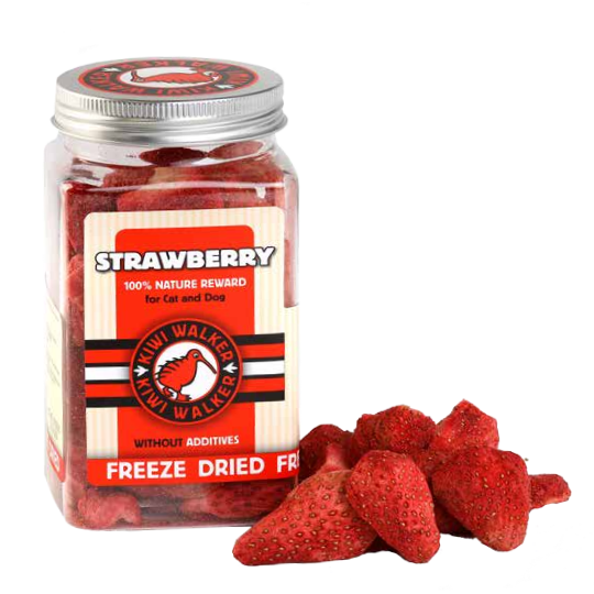 friandises lyophilisées fraise pour chiens et chats kiwi walker