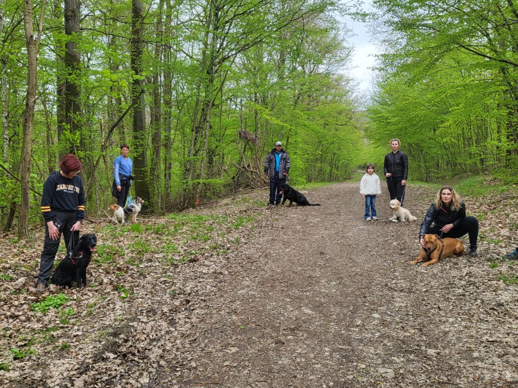 Balades éducatives collectives chez Cynoland
