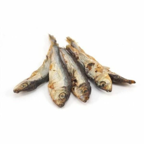 Anchois séchés pour chiens