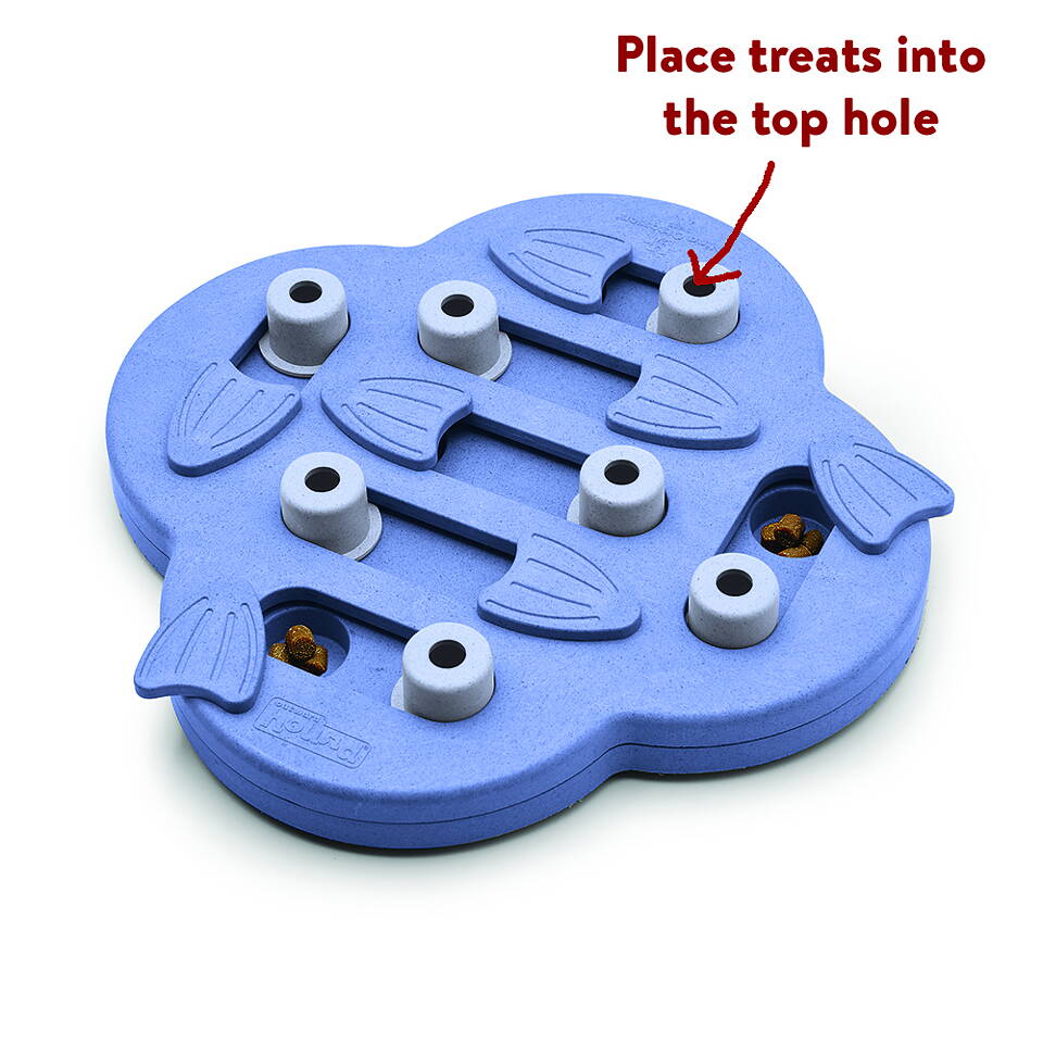 Dog Hide N Slide Puzzle pour chien