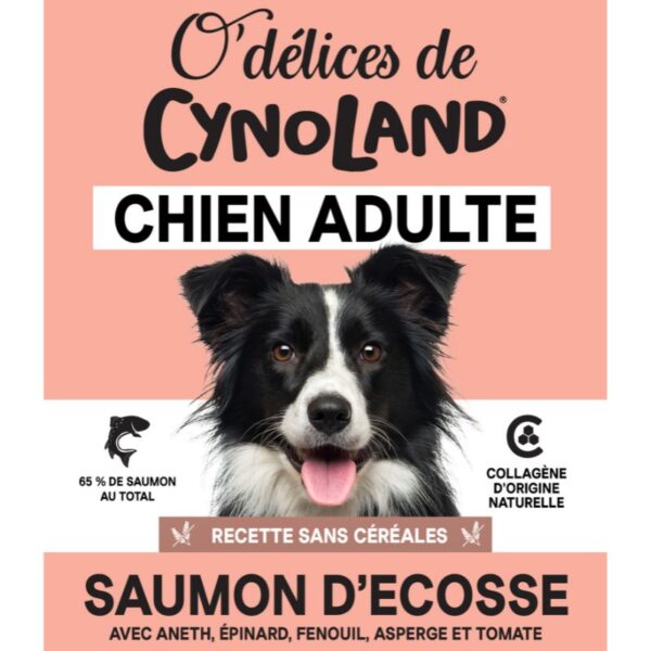 O'Délices de Cynoland Saumon