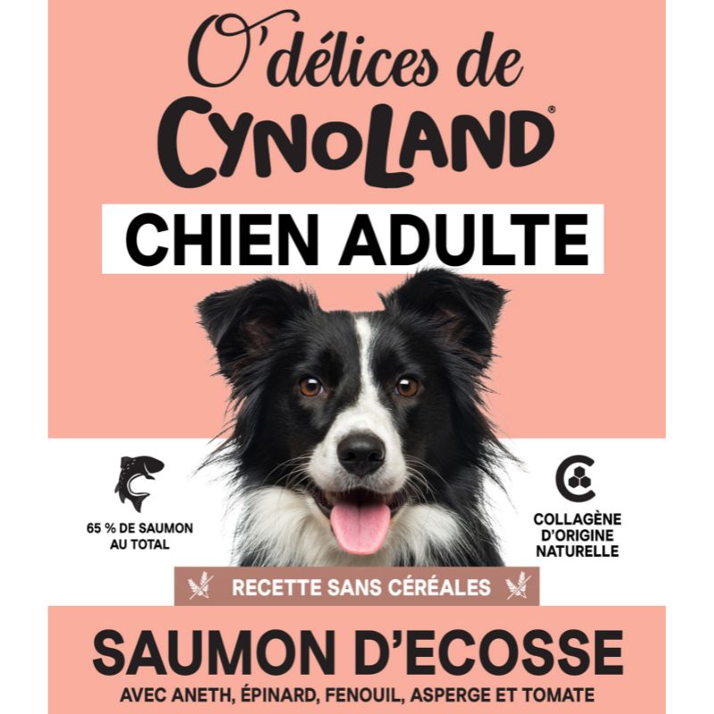 O'Délices de Cynoland Saumon