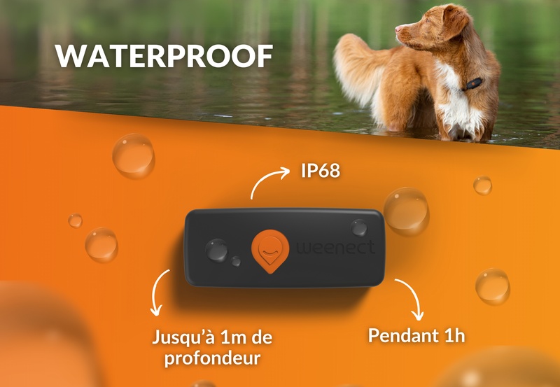 GPS pour chien Weenect