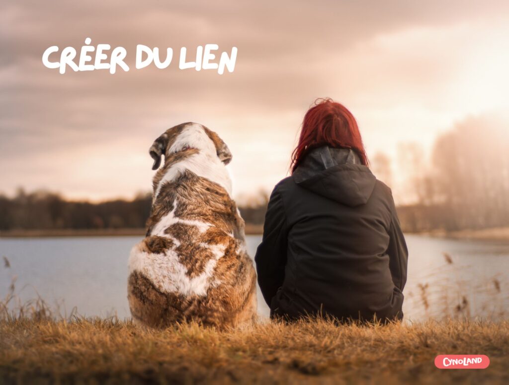 Créer du lien avec son chien ou chiot
