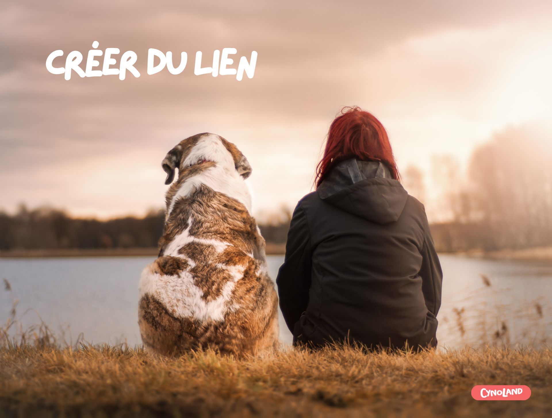 Créer du lien avec son chien ou chiot