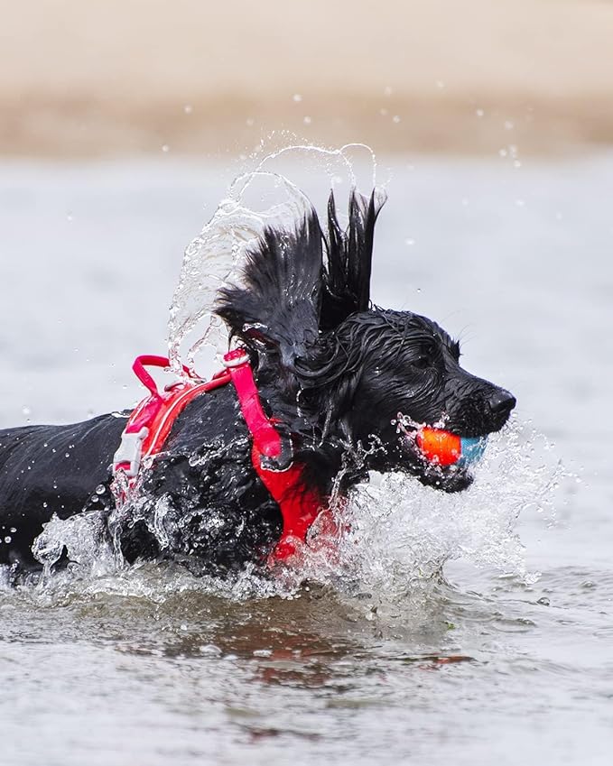 3 Balles Amphibies Chuckit