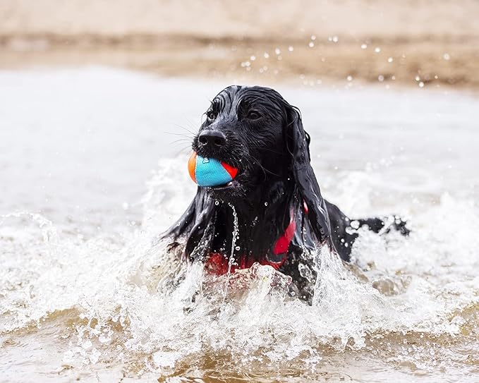 3 Balles Amphibies Chuckit