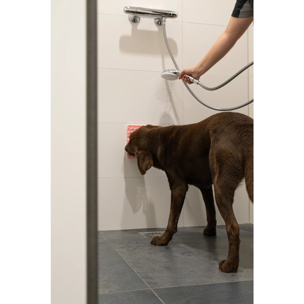 Lick Mat Honeycomb tapis de léchage pour chien