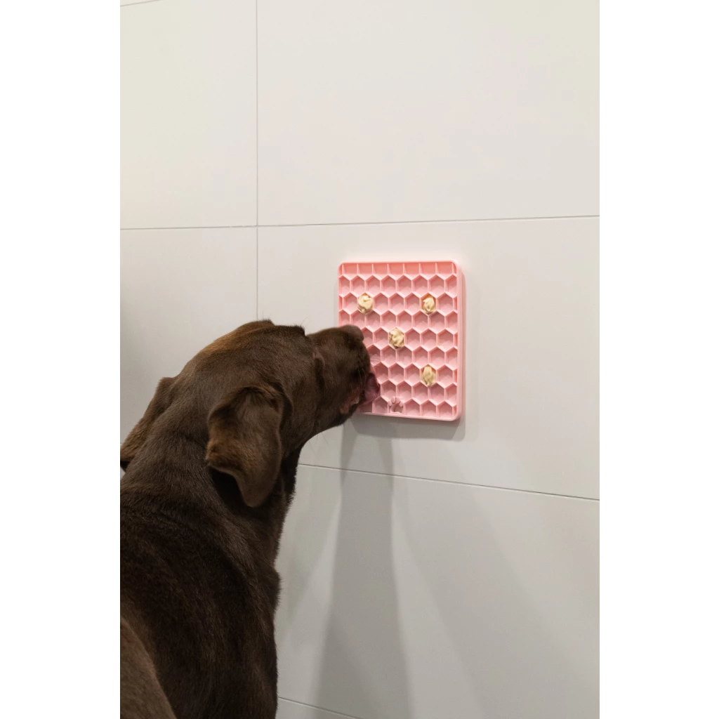 Lick Mat Honeycomb tapis de léchage pour chien