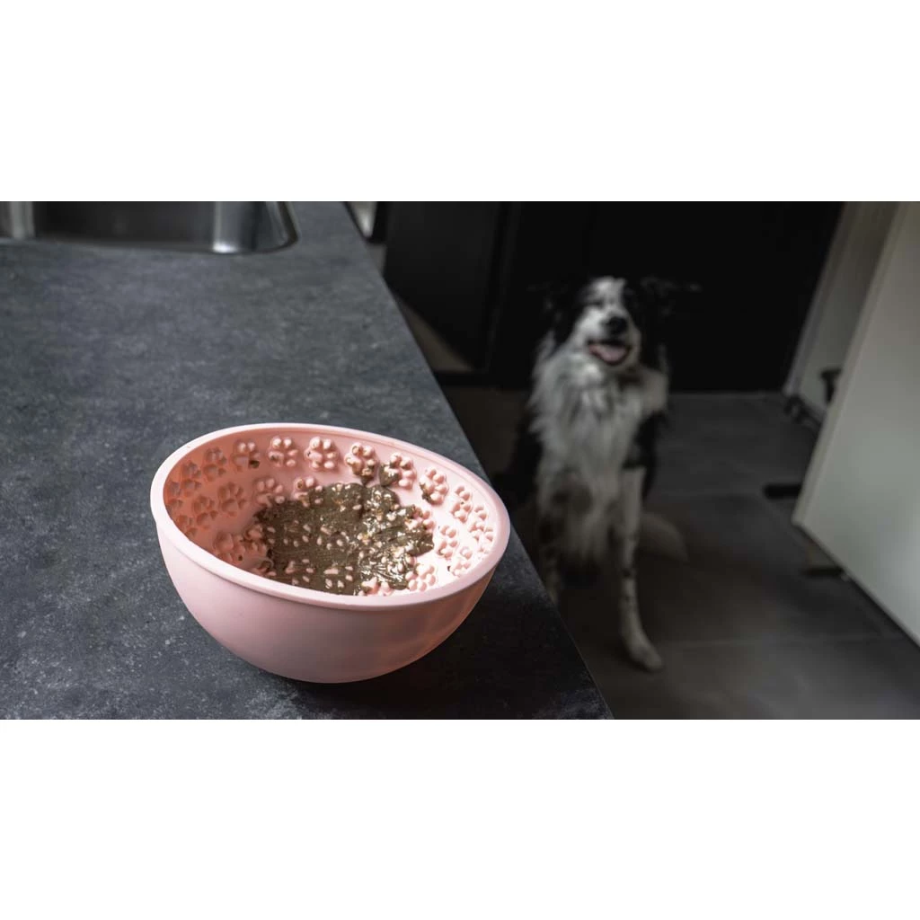 Lick Mat Wobble Bowl