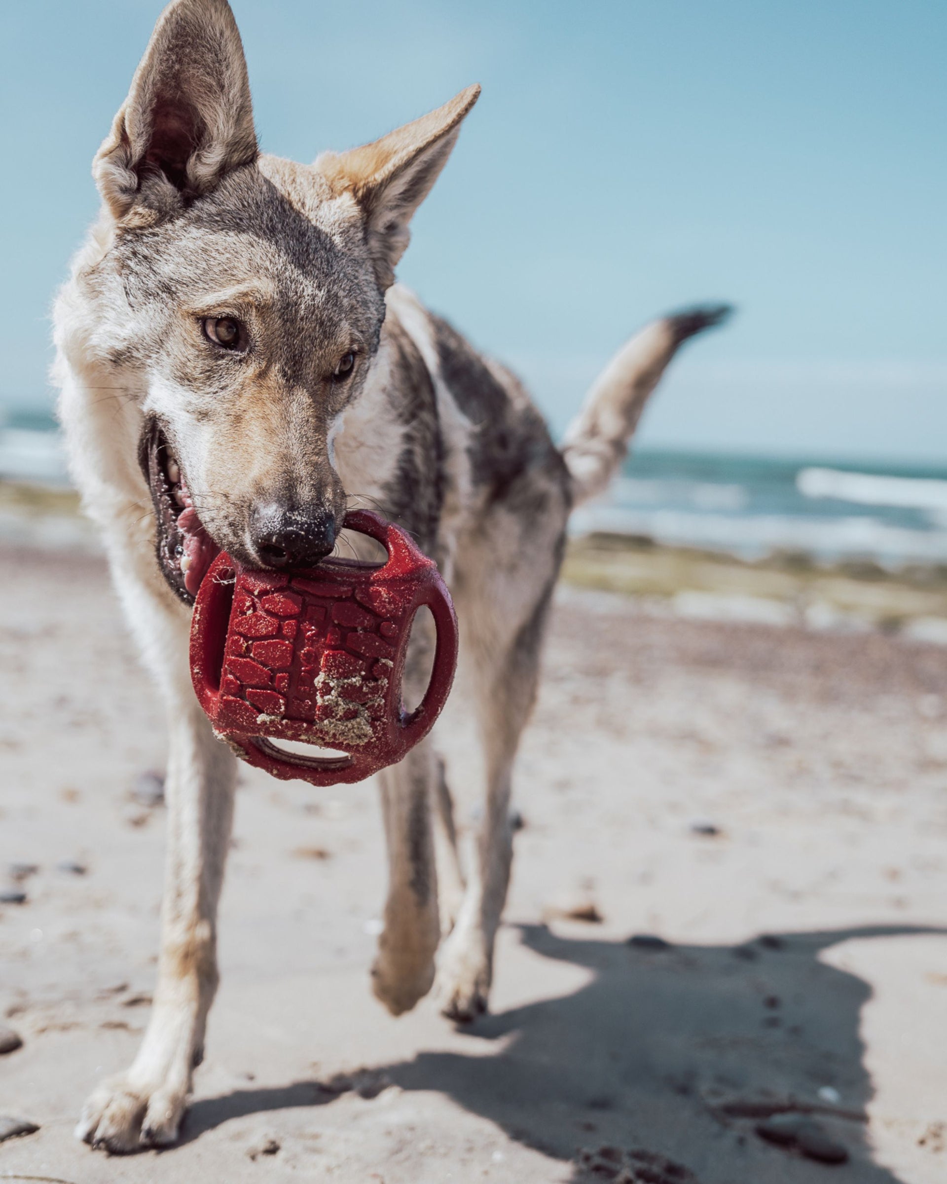 Hydro Jumbo N-GAGE jouet flottant pour chien