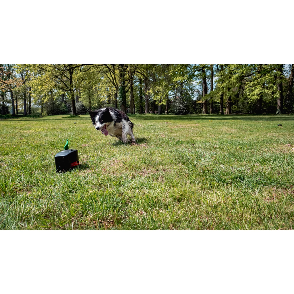 Dog Comets Star Chaser jouet télécommandé pour chien