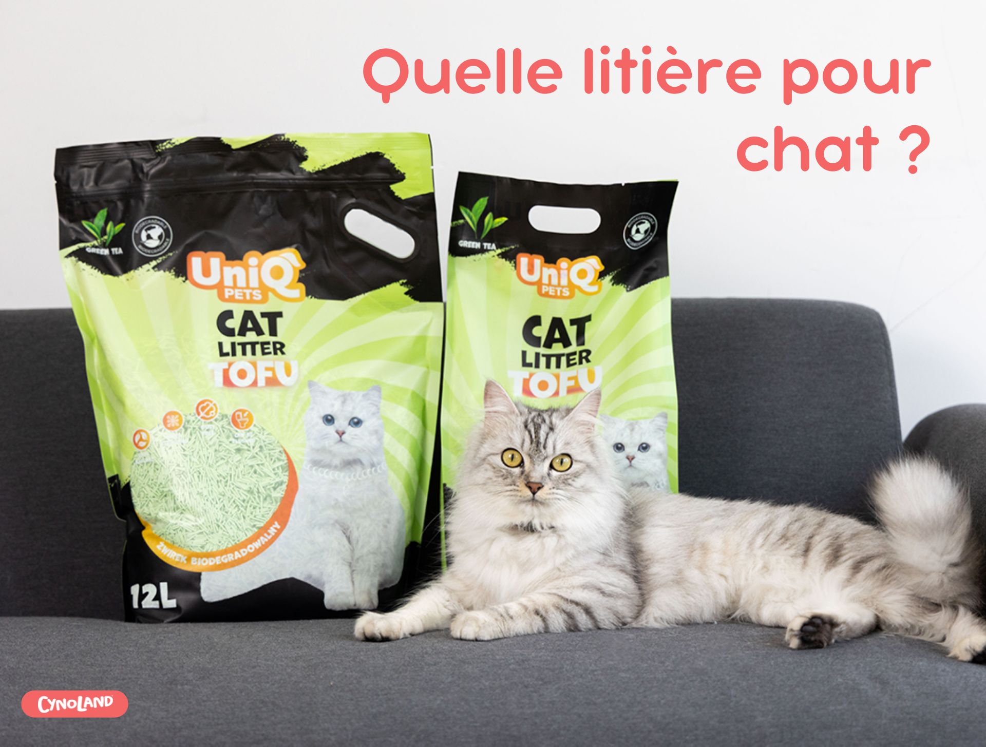 Litière pour chat