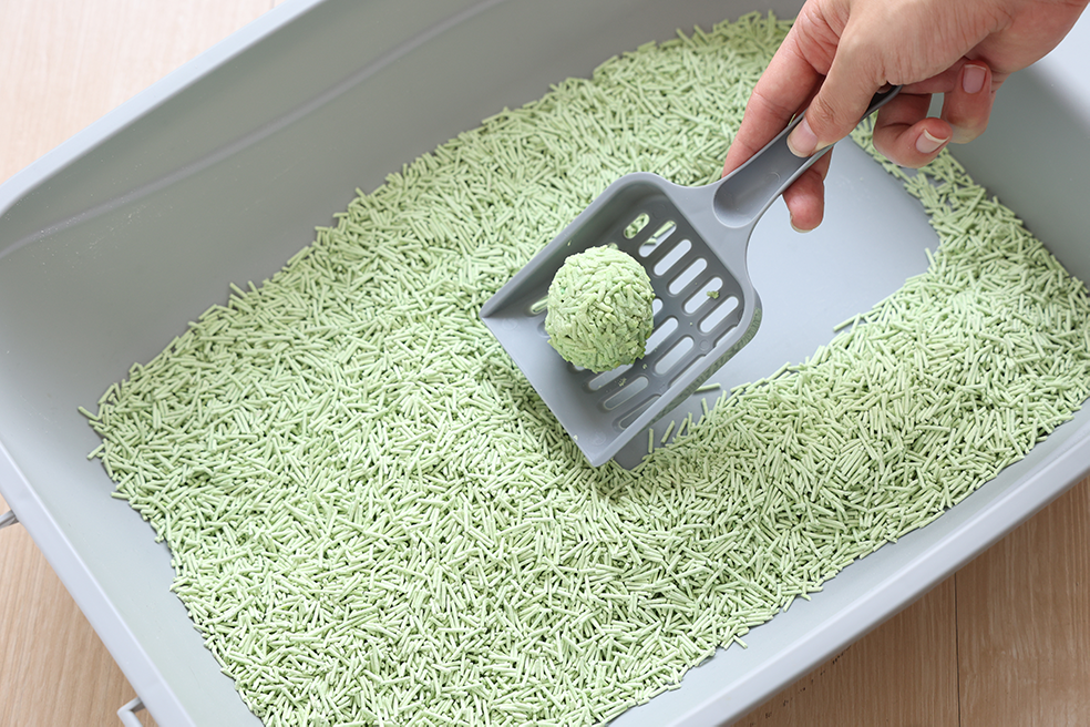 UNIQ Tofu Biodegradable Cat Litter 2,5kg  6L green tea