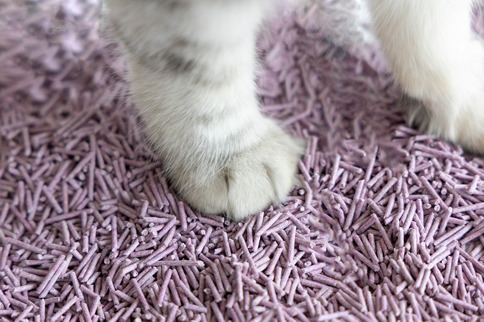 UNIQ Tofu Biodegradable Cat Litter 5kg  12L lavender
