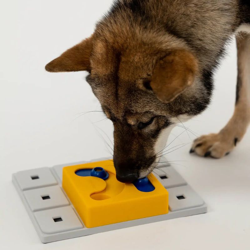 Module Pawzle Kaya puzzle Pawzler pour chien