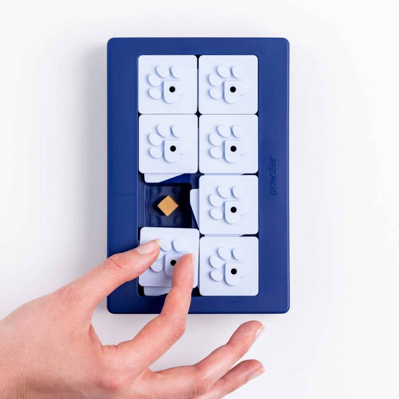 Module Pawzle Louvre pour puzzle Pawzle pour chien