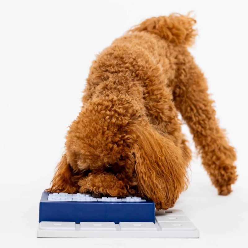 Module Pawzle Louvre pour puzzle Pawzle pour chien