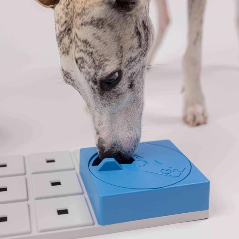 Module Pawzle Oli puzzle Pawzler pour chien