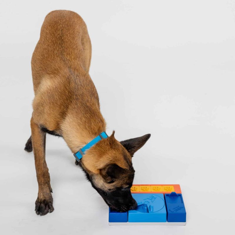 Pack Débutant Pawzler puzzle pour chien