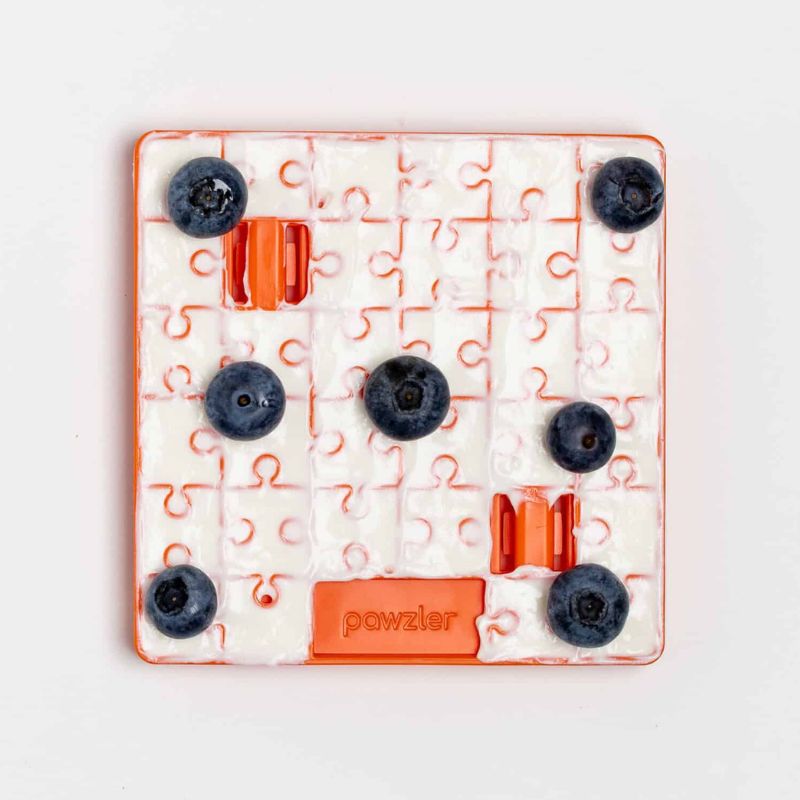 Module Pawzle Terra puzzles Pawzler pour chiens