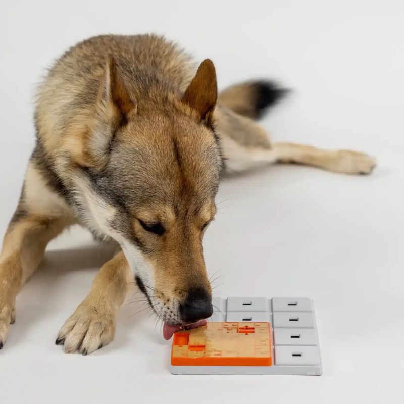 Module Pawzle Terra puzzles Pawzler pour chiens